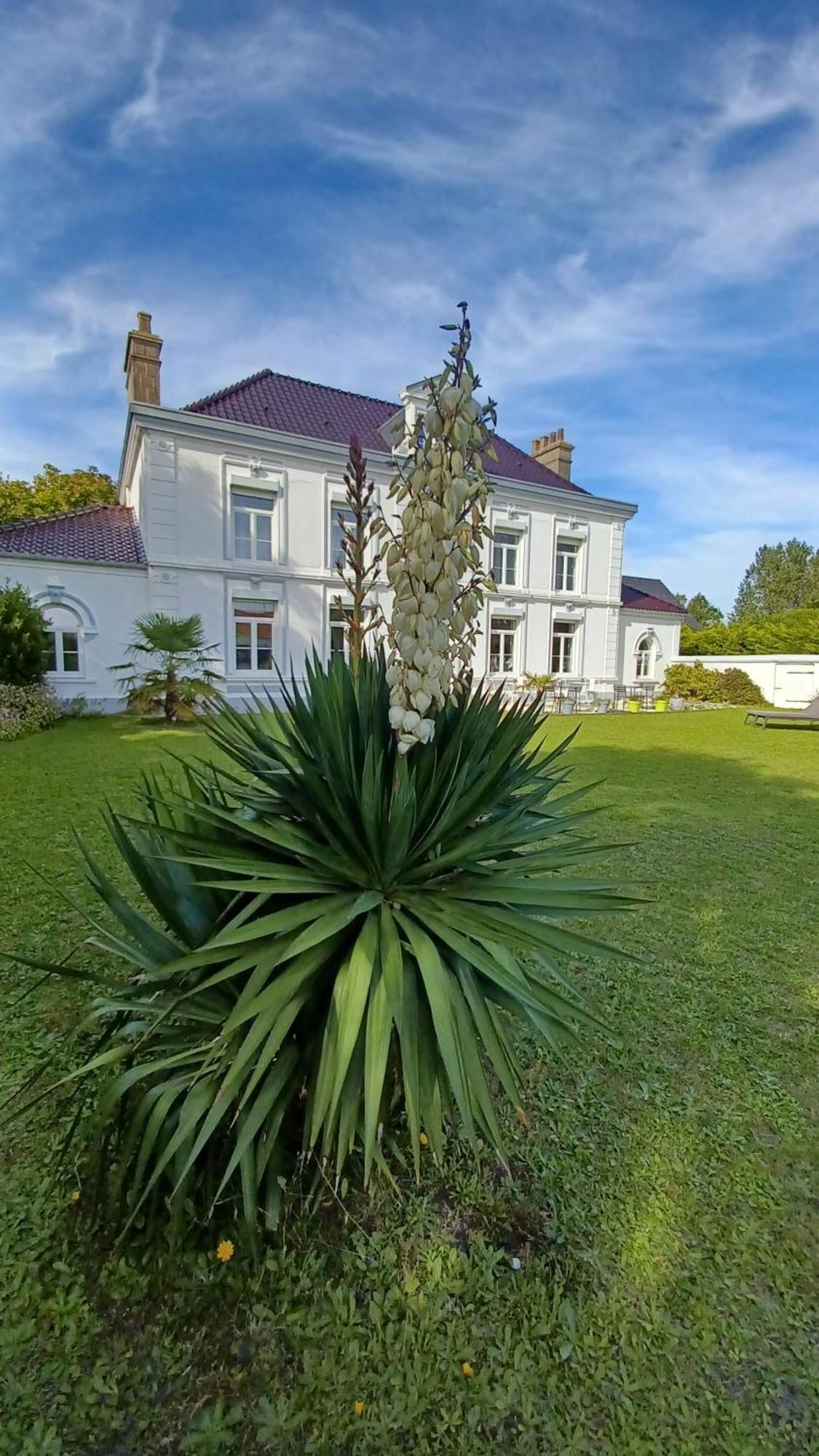 Oye-Plage La Carte Postale B&B 외부 사진