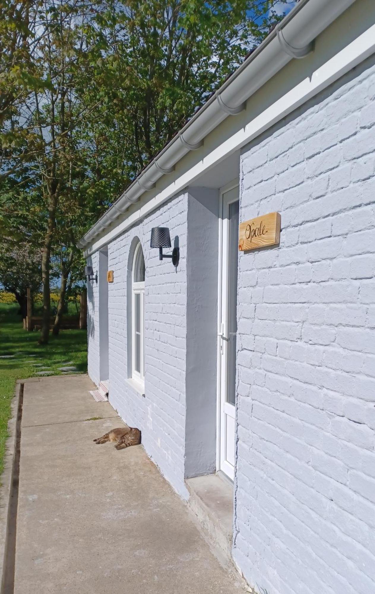 Oye-Plage La Carte Postale B&B 외부 사진